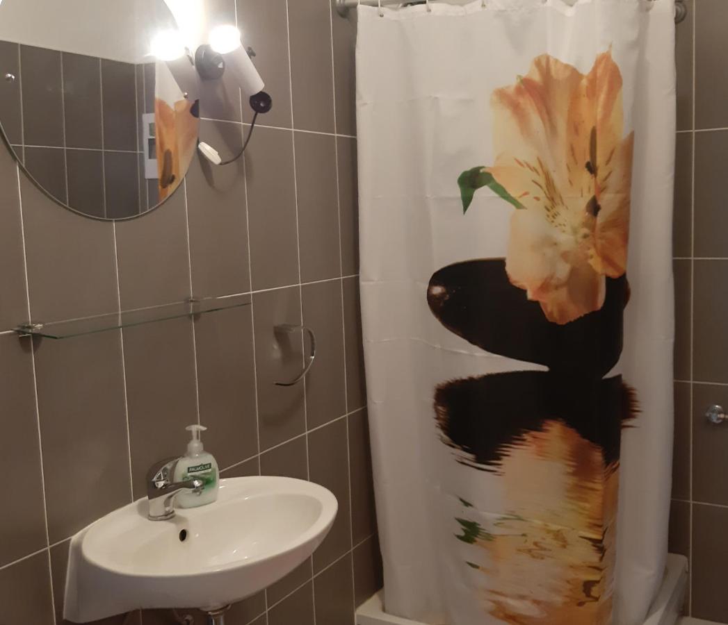 Apartmani Miletic ノヴィ・ヴィノドロスキー エクステリア 写真